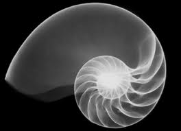Big spiral 1