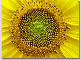 Big spiral 4
