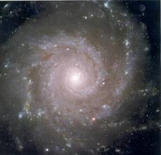 Big spiral 7