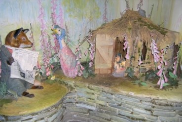 OLYMPUS DIGITAL CAMERA