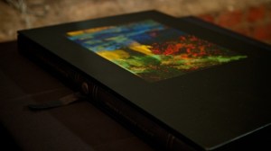 Fuji 1