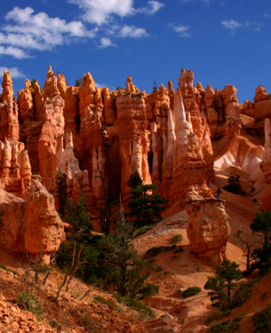 Nat Park - Bryce