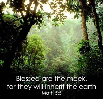 blessed are the meek