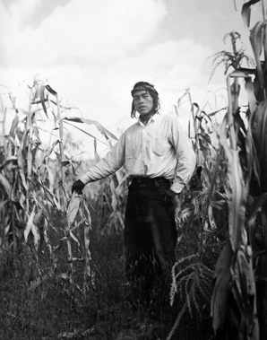 Jem corn