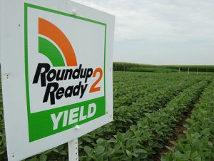 roundup425
