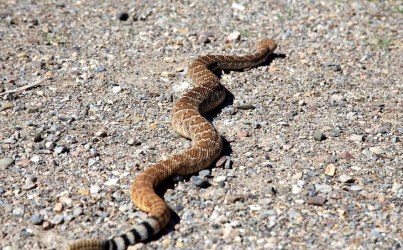 Tent Rocks _IMG_0220 - Version 3