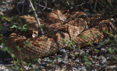 Tent Rocks _IMG_0225 - Version 2