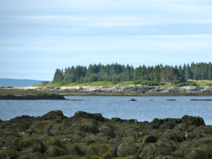 Low tide-resized-600