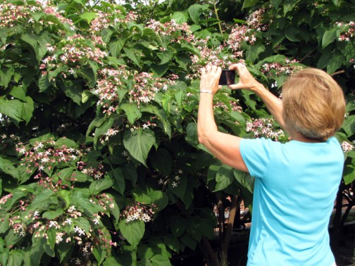 Photo-by-Lee-Patrick