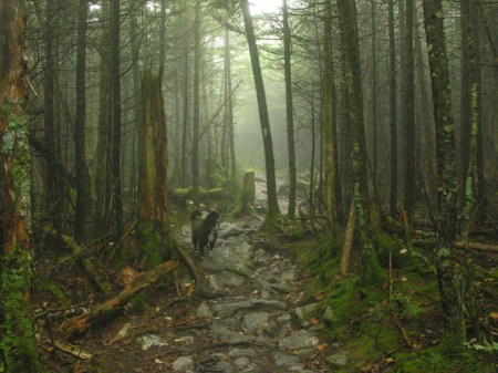 08aabrahamellen93008