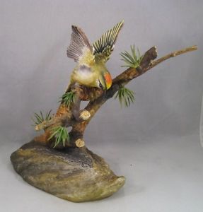 $T2eC16N,!wsE9suw)kriBSD7cWrHG!~~60_35