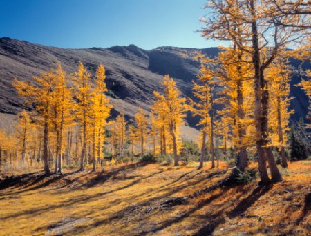 slide_317976_2934125_free