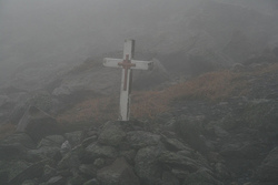 40478779_124985928964