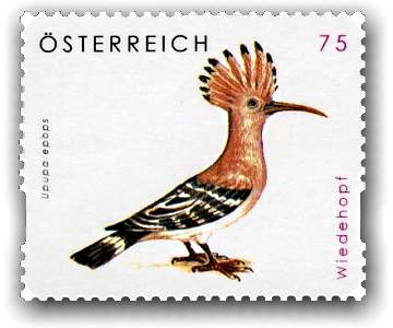 Austria_2008_Hoopoe