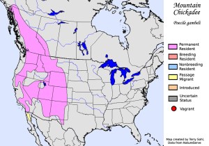 mountain_chickadee_map_big