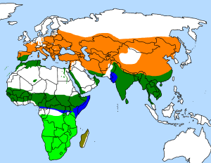 Upupa_distribution