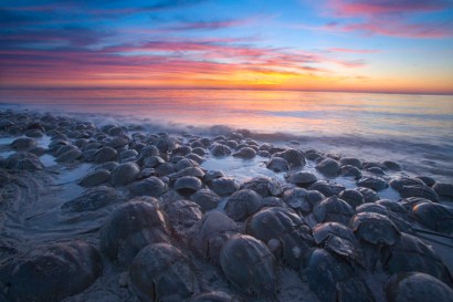 1261337950_4760_full