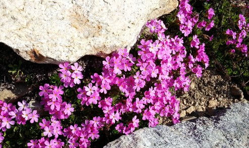 rae-lakes-loop156-28-13
