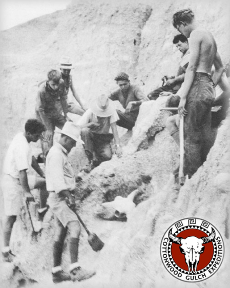 Howie digs a cow skull