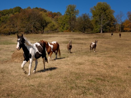 419824364_dan_1428-copy