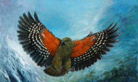 kea-new-zealand-peter-jean-caley