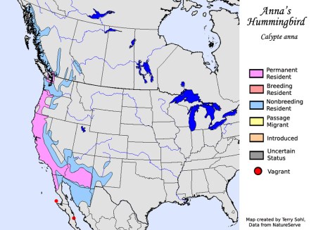 annas_hummingbird_map_big