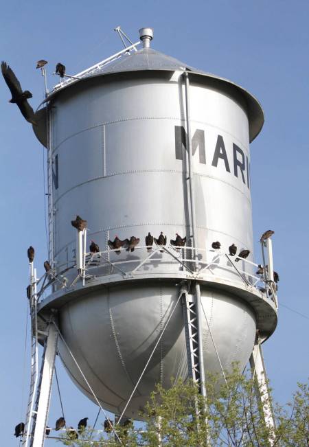Marion