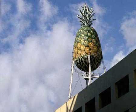 Pinapple water tower