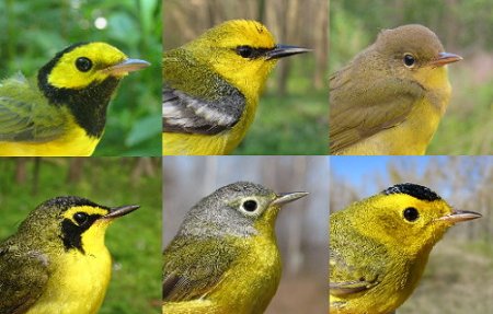 3428345029_a53b5e05fa_o