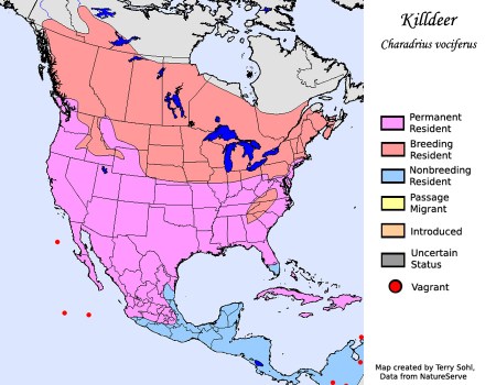 killdeer_map_big