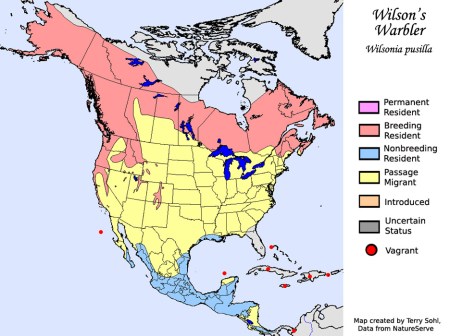 wilsons_warbler_map_big