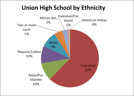 school by ethnicity