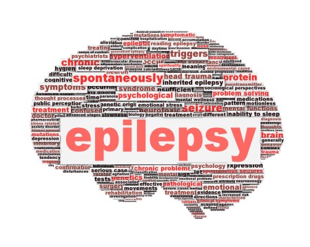 Epilepsy graphic organizer