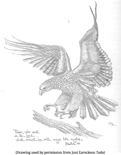 Eareckson5