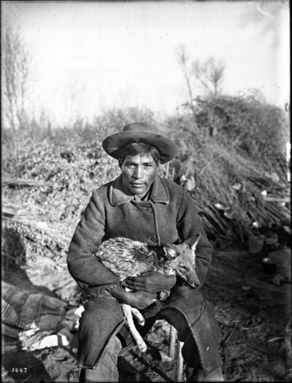 Chemehuevi_man_holding_a_coyote