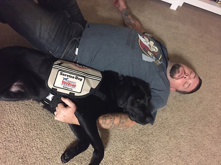 Service-Dog to the Rescue