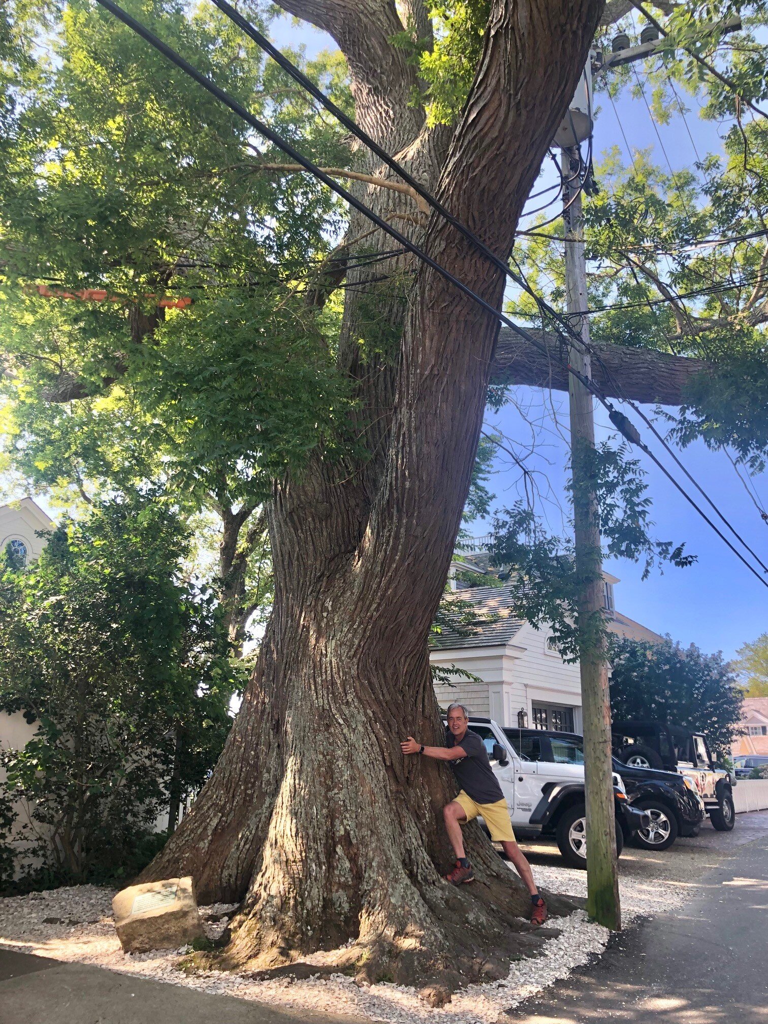 A tree-hugger shot of me just for scale :)