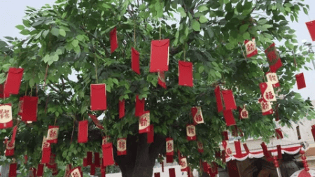 Li Xi Tree Chinese Myth: The Money Tree | Henry E. Hooper